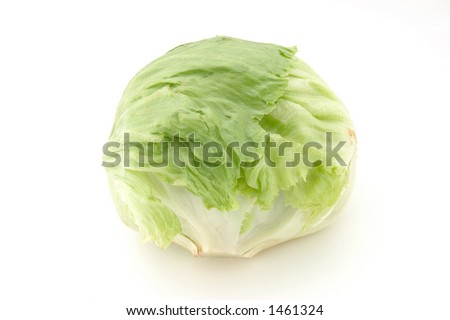 Iceberg+lettuce+head Question is the king of clip art custom May not believe but check this Everywhere thaticeberg