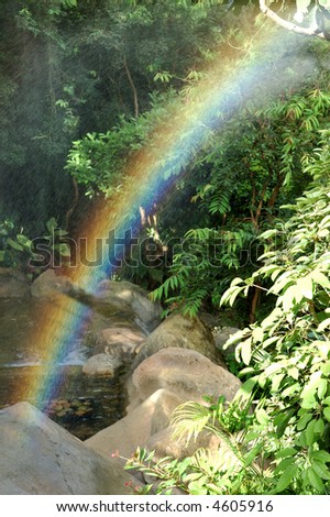 Rainbow in forest background