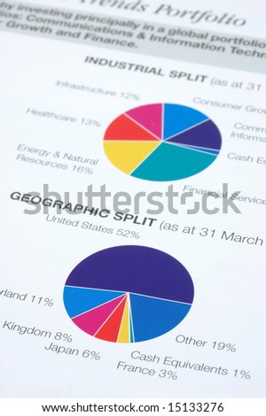 Financial pie chart on industrial and geographic split