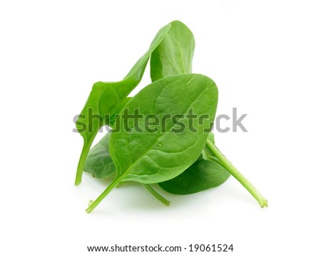 Baby Spinach Leaf