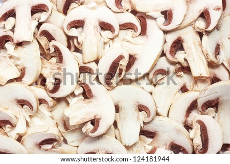 mushrooms champignon for background or texture