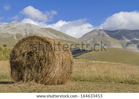 Hay harvest on the Piano Grande in the mountains Sibellini