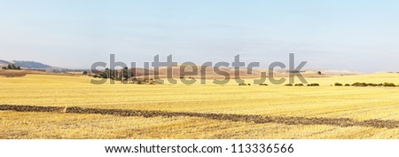 Panoramic photo of beautiful agrarian landscape with golden fields. Hills. Blue pink sky. Andalusia. Spain.