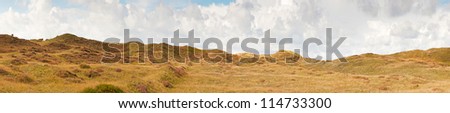 Panoramic shot of dutch dune landscape with scottish highlanders and stormy blue cloudy sky. Texel. Wadden island. The Netherlands.