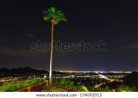 Palm tree moving in the wind with city lights of Phoenix at night.