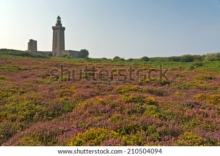 Colorful field of purple and yellow flowers with lighthouse in the background. Cape of Frehel. Brittany. France.