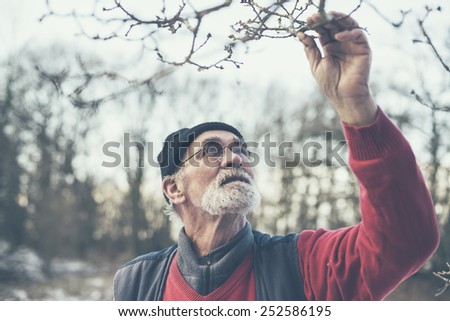 Close up Old Man Holding Twigs from a Leafless Tree at the Woods.