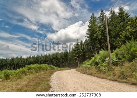 Conceptual Dusty Rough Road with Green Tall Trees and Grasses on Sides Under Cloudy Sky.