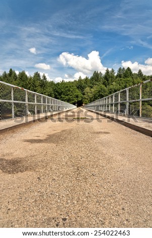 Conceptual Empty Textured Pathway with Screened Side Rails. Captured with Green Trees Afar on a Blue Sky Above.