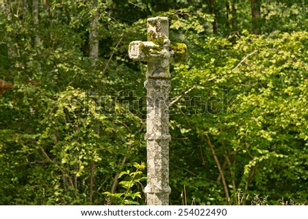 Close up Old Cross Statue with Algae Standing at the Forest with Fresh Green Plants at the Background.