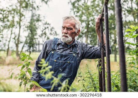 Half Body Shot of a Pensive Senior Bearded Farmer Leaning Against Rail at the Farm and Looking Into the Distance