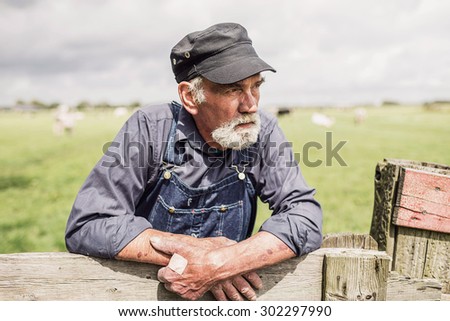 Elderly farmer standing leaning on a wooden fence surveying his farmland and pastures with herds of cattle, close up view