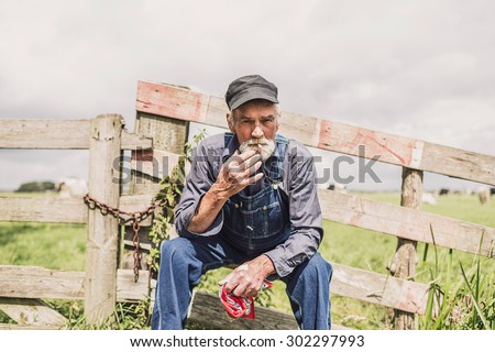 Elderly farm worker sitting relaxing in the sunshine on a wooden fence surrounding a pasture with livestock