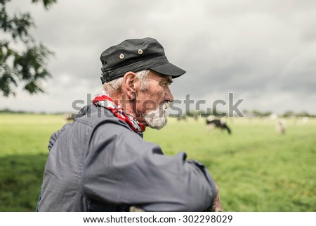 Grey-haired bearded elderly farmer checking his cows in a pasture, leaning on the fence overlooking the herd, close up profile view