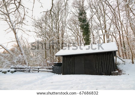 Forest with black cabin covered with snow