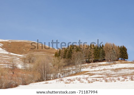 Winter snow mountain landscape with row of trees. Blue sky. Sunshine. Alps. France.