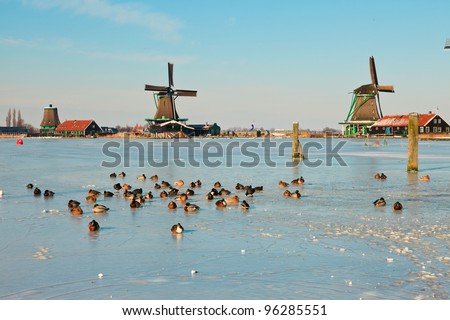 Winter landscape of old dutch village with windmills in snow on beautiful clear day. Blue sky.