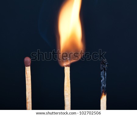 Tree matches in different stages of burning against a black background
