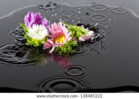 Flowers falling into water with ripple and splash buds colour