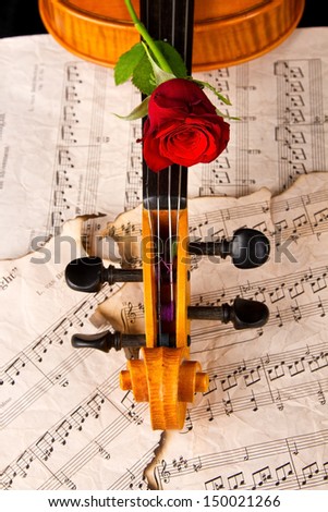 Violin sheet music and rose closeup wood and soft light