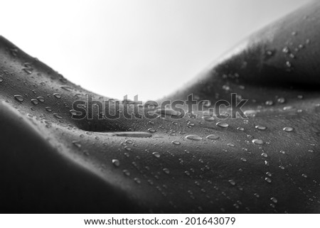Body scape of a nude woman with wet stomach and back lighting in artistic conversion
