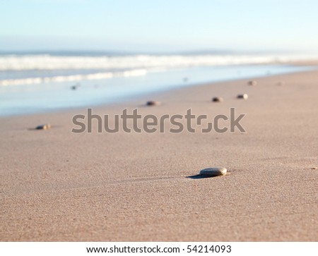 Pebbles on a beach with the southern ocean in the background