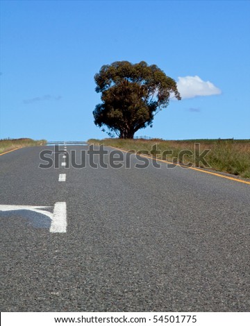 Road over farm lands with tree in South Africa and bright blue sky
