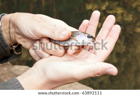 Wild baby trout caught held in hand
