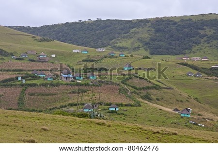 Green houses of poor in Transkei South Africa corrugated iron
