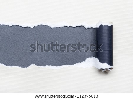 Torn white paper with grey space for your message. Paper roll
