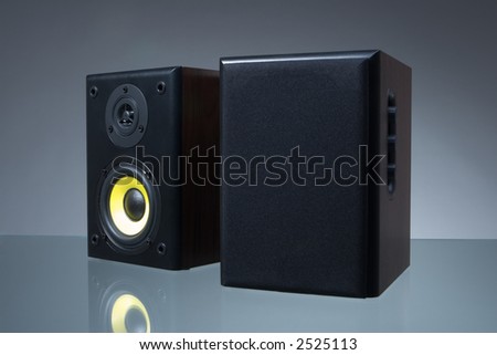 Audio speakers on the gray background with reflection