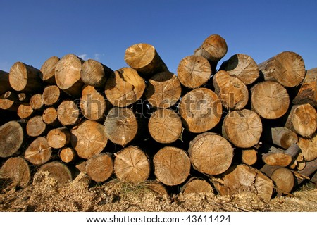 heap of wood