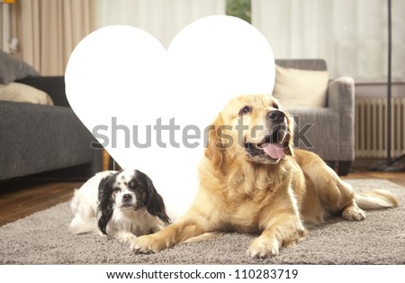 Two dogs with white heart for copy space