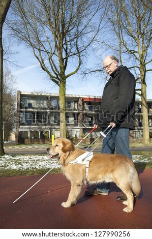 Guide dog is helping blind man