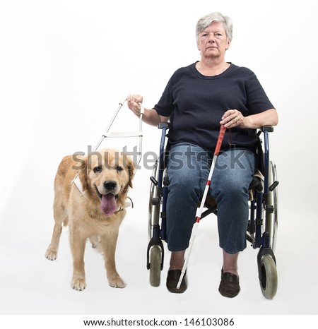 Senior woman in wheelchair with guide dog isolated on white