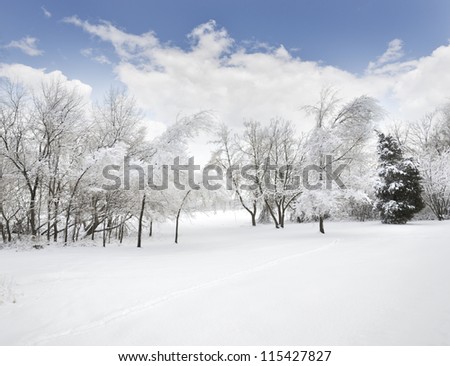 Winter Landscape After Ice Storm
