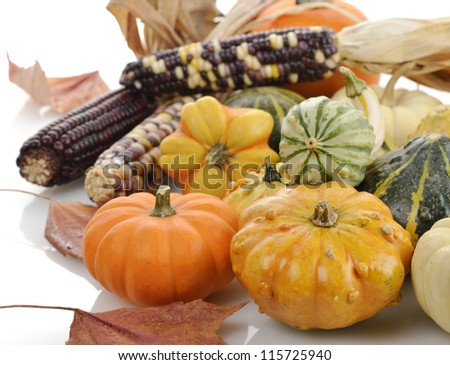 Mini Pumpkins And Indian Corn ,Close Up