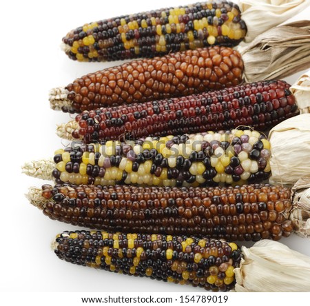 Colorful Indian Corn On White Background