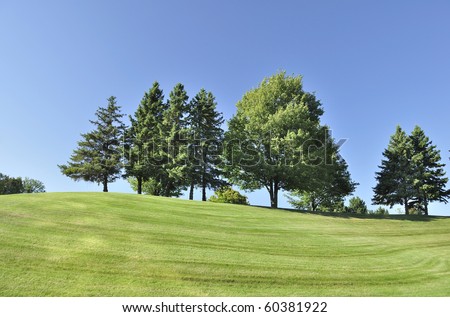 hill with trees