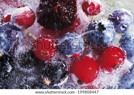 Frozen wild berries in a block of ice