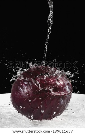 Red cabbage under jet of water