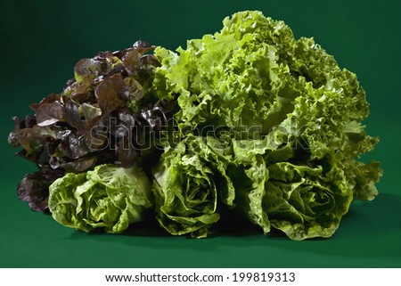 Leafy vegetables against green background
