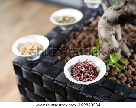 Herbs in bowl by plant, close-up