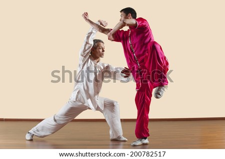 Kung Fu, Changquan, Duilian, Long Fist Style, Two men doing kung-fu moves