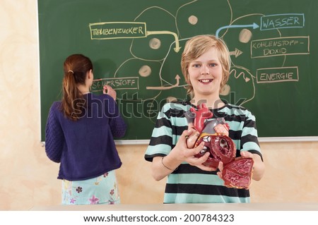 Boy and girl holding presentation boy standing with artificial heart model in hands smiling girl writing on chalkboard