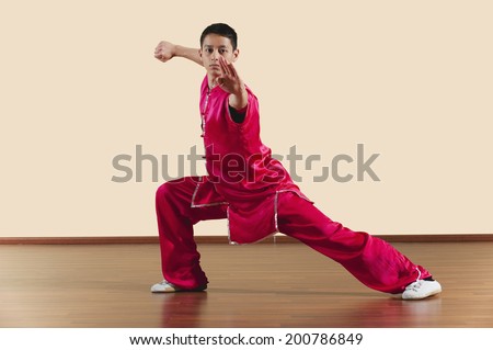 Kung Fu, Changquan, Gongbu ce tuizhang, Long Fist Style, Young man practicing martial arts