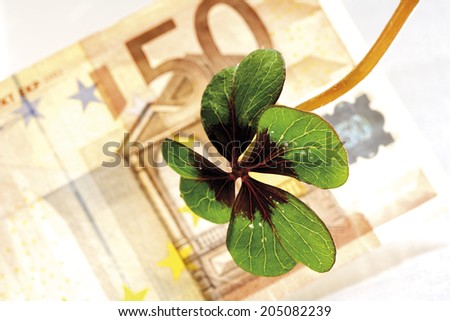 Four-leafed clover on 50 Euro banknote, close-up, elevated view