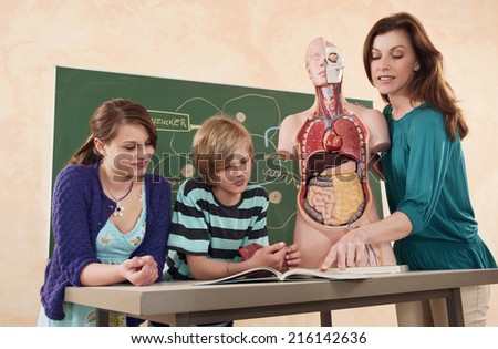 Teacher holding model of human body explaining students