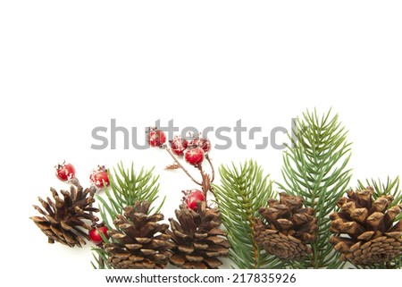 Christmas decoration, red berries cones fir twigs isolated on white