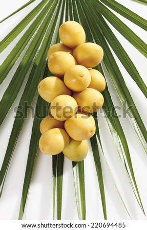 Fresh dates (Phoenix dactylifera) on palm leaf